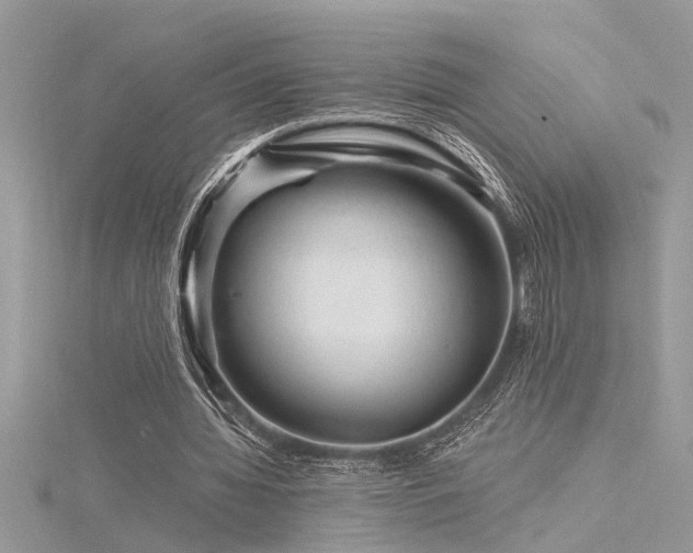 X0000116280436200911301401