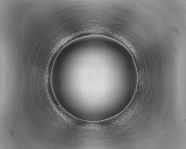 X0000116280437200911301401
