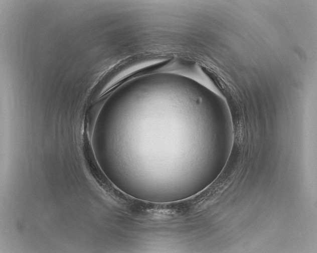 X0000116280448200911301401