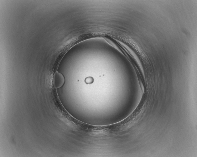 X0000116280454200911301401