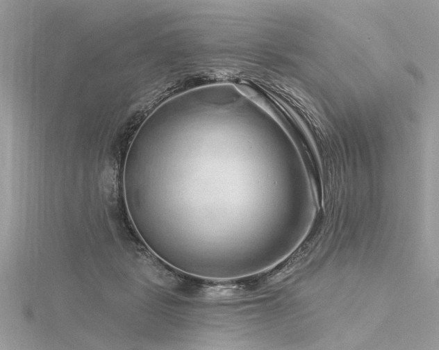 X0000116280461200911301401