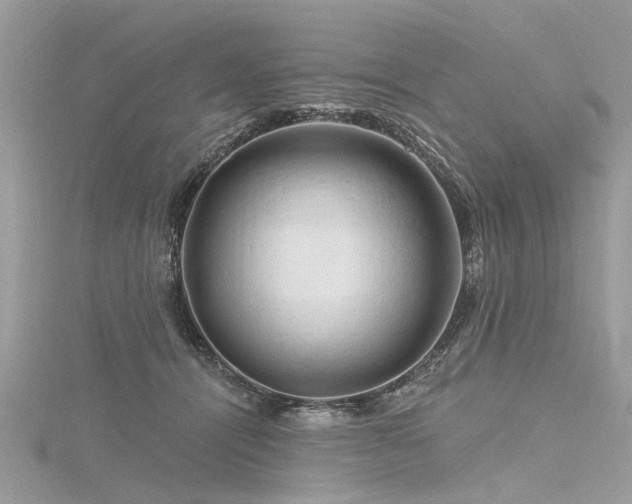 X0000116280464200911301402