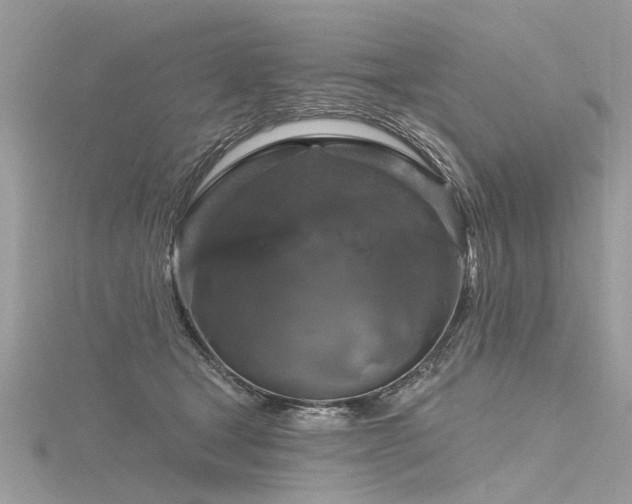 X0000116280465200911301402