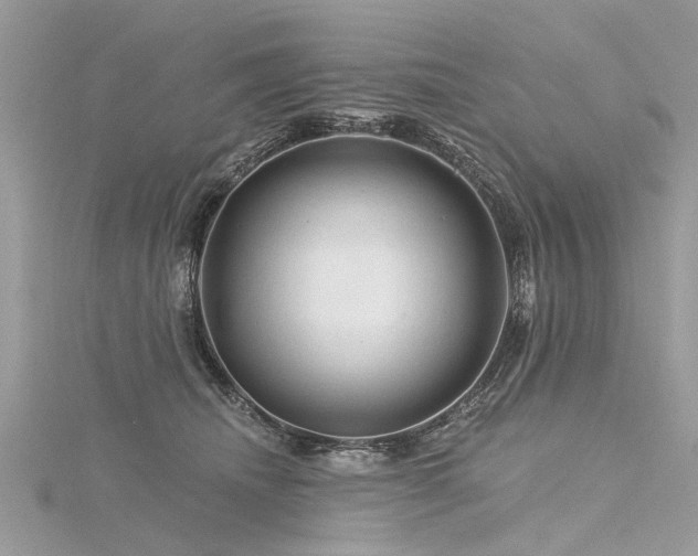 X0000116280468200911301402