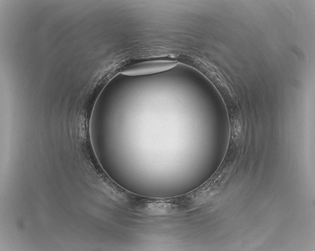 X0000116280470200911301402