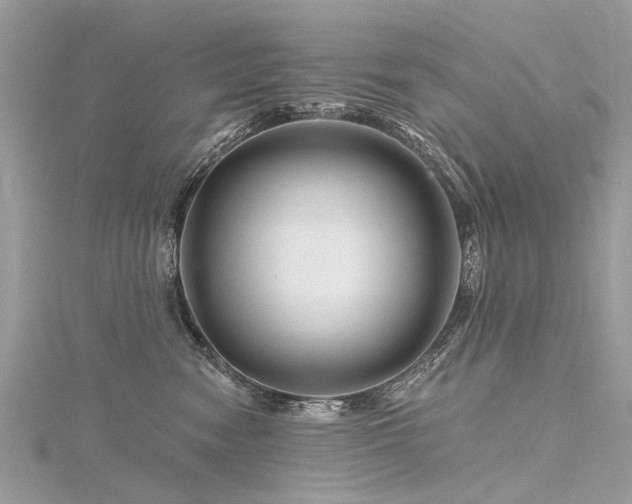 X0000116280474200911301402