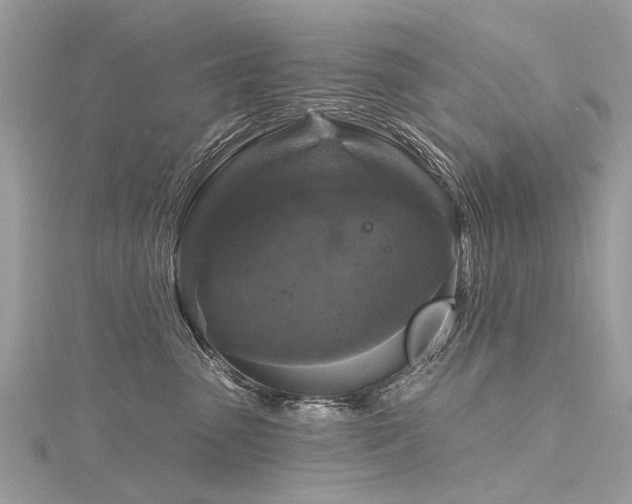 X0000116280475200911301402