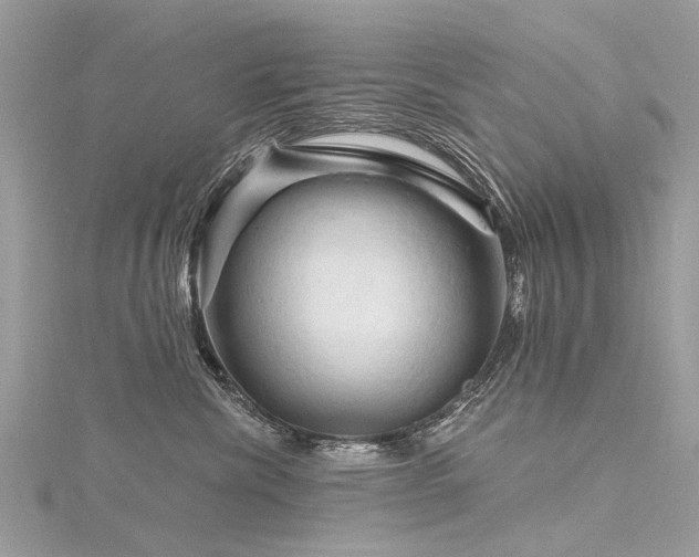 X0000116280476200911301402