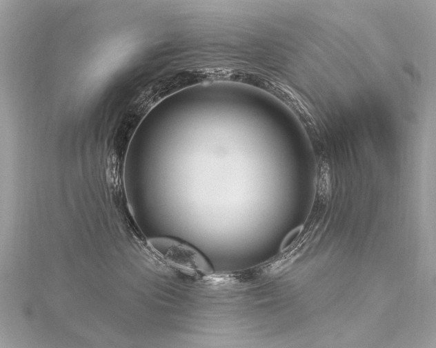 X0000116280477200911301402