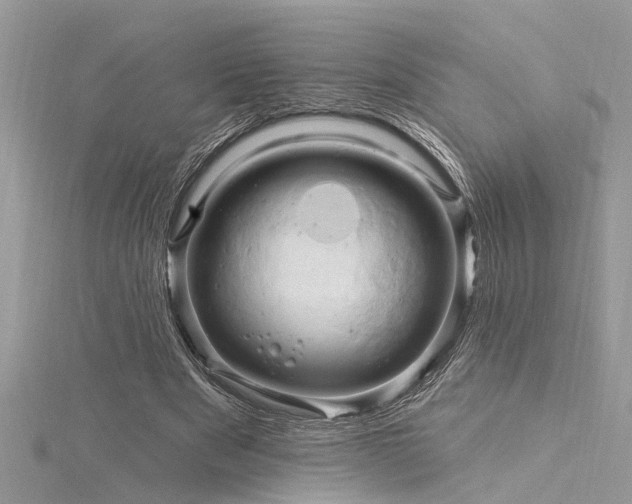 X0000116280489200911301401