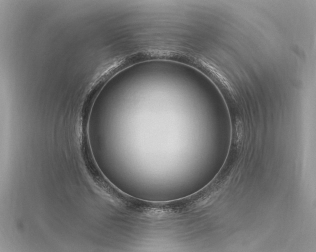 X0000116280494200911301401