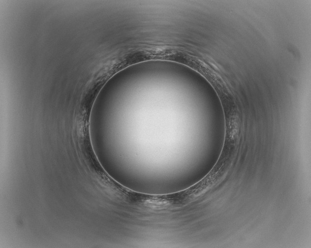 X0000116280515200911301401