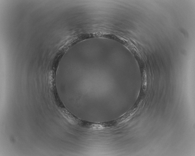 X0000116280519200911301400