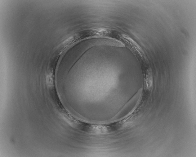 X0000116280520200911301400