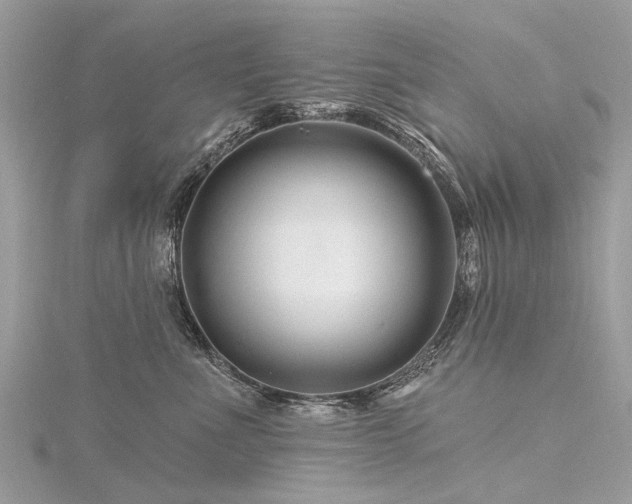 X0000116280523200911301400