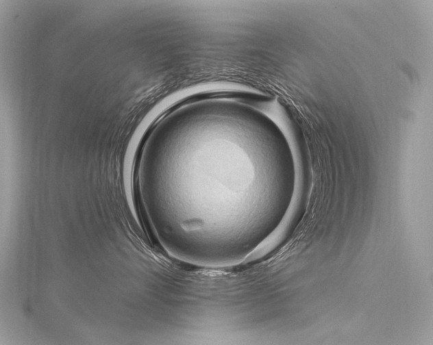 X0000116280528200911301400