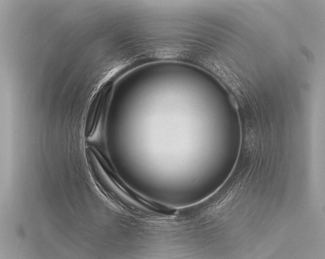 X0000116280530200911301400
