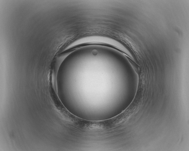 X0000116280546200911301400