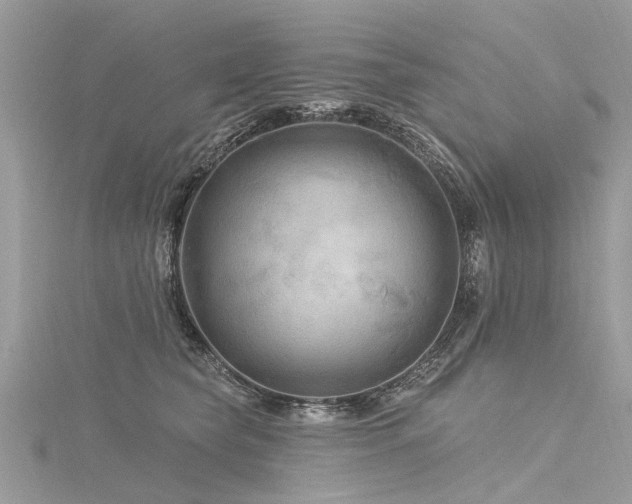 X0000116280565200911301400