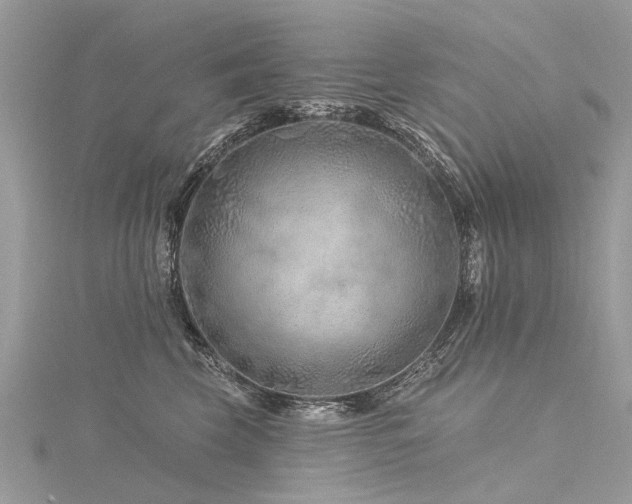 X0000116280569200911301400