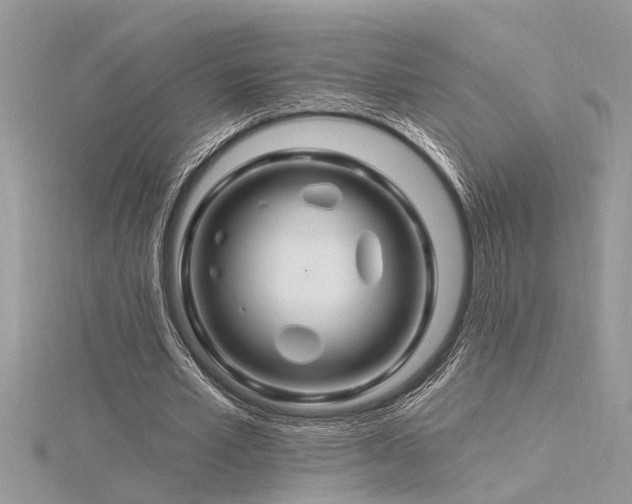 X0000116280581200911301359