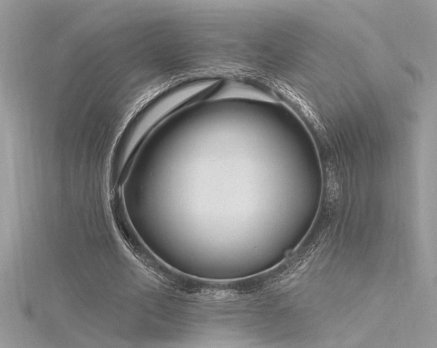 X0000116280582200911301359