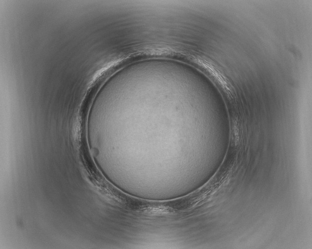 X0000116280583200911301359