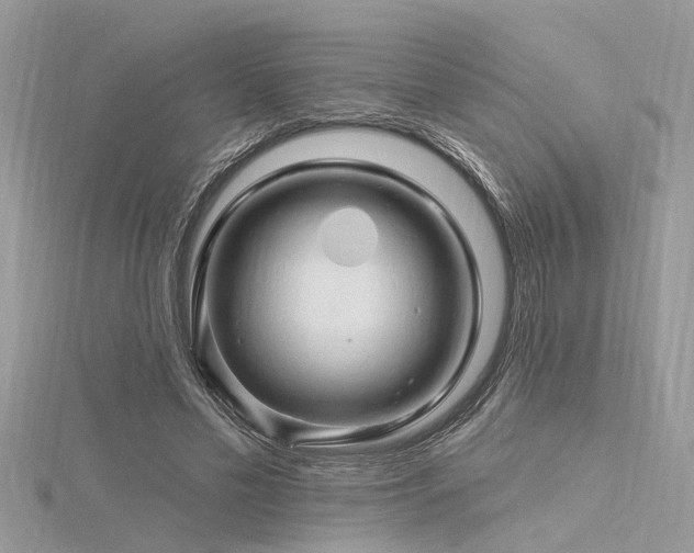 X0000116280589200911301359