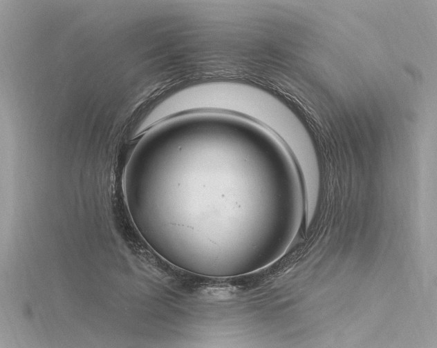 X0000116280595200911301359