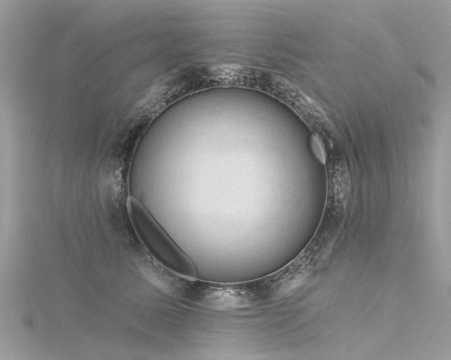 X0000116280611200911301359