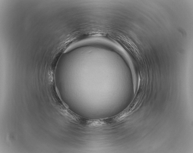 X0000116280621200911301359