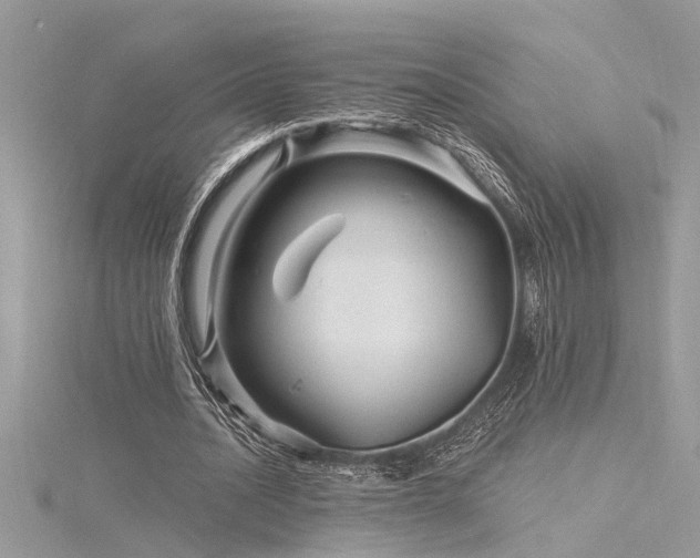 X0000116280628200911301358