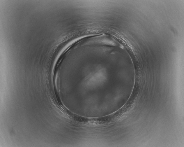 X0000116280641200911301358