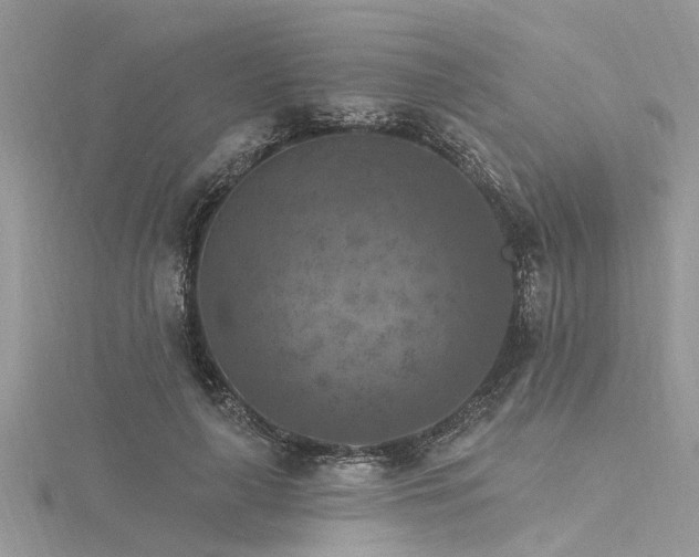 X0000116280643200911301358