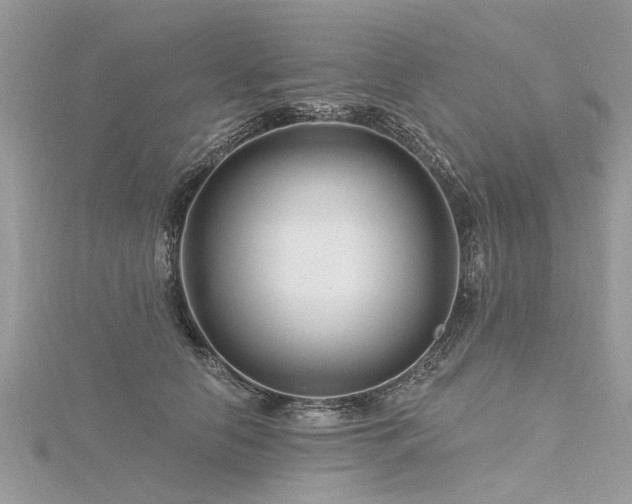 X0000116280658200911301359
