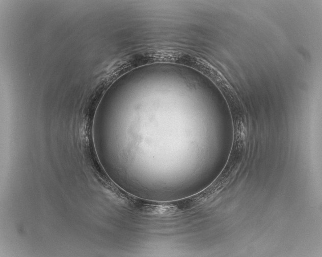 X0000116280663200911301359
