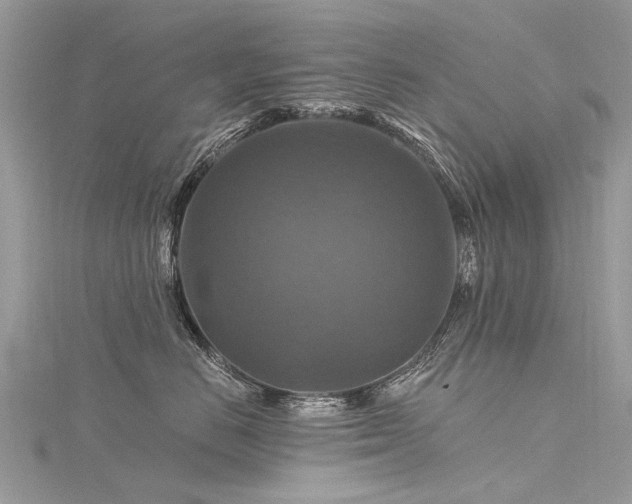 X0000116280670200911301359