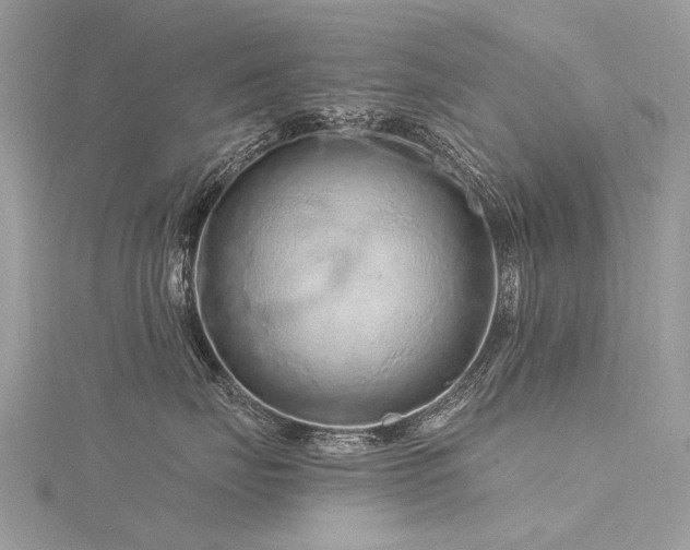 X0000116280671200911301359
