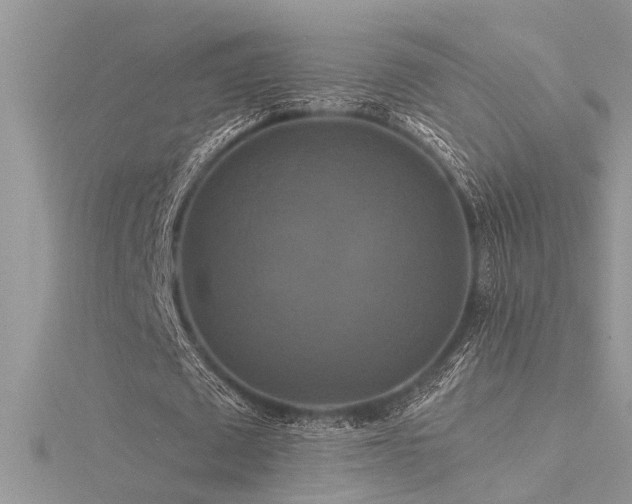 X0000116280673200911301358