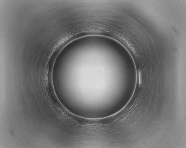 X0000116280675200911301358
