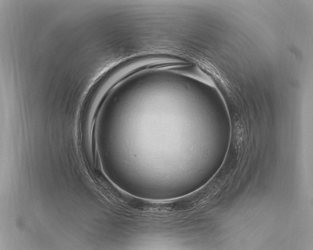 X0000116280680200911301358