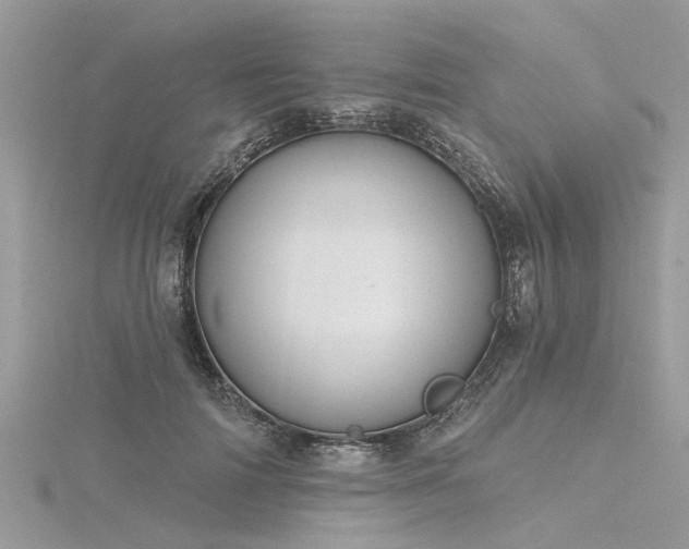 X0000116280698200911301358