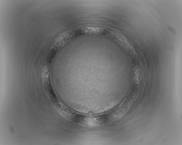 X0000116280701200911301358