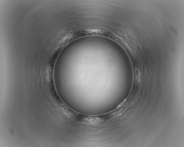 X0000116280712200911301358