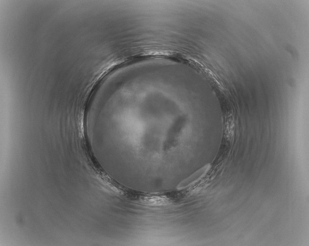X0000116280716200911301358