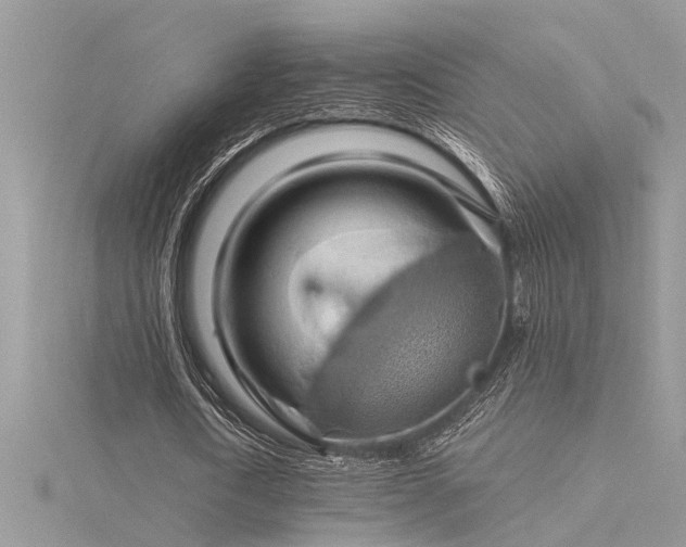 X0000116280722200911301357