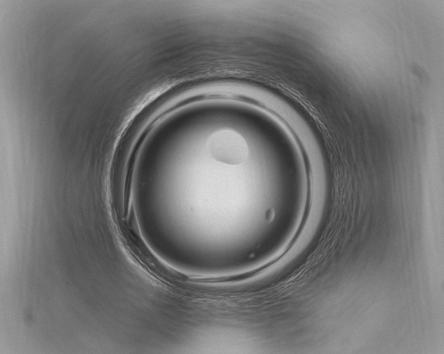 X0000116280726200911301357