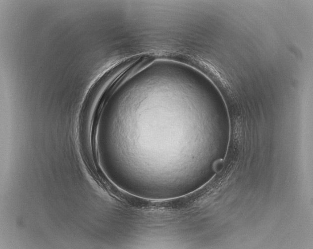 X0000116280730200911301357