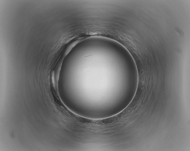 X0000116280743200911301357