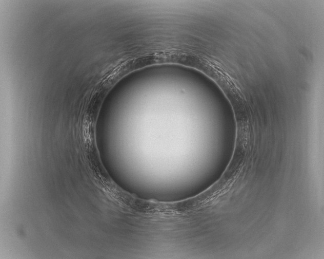 X0000116280770200911301357